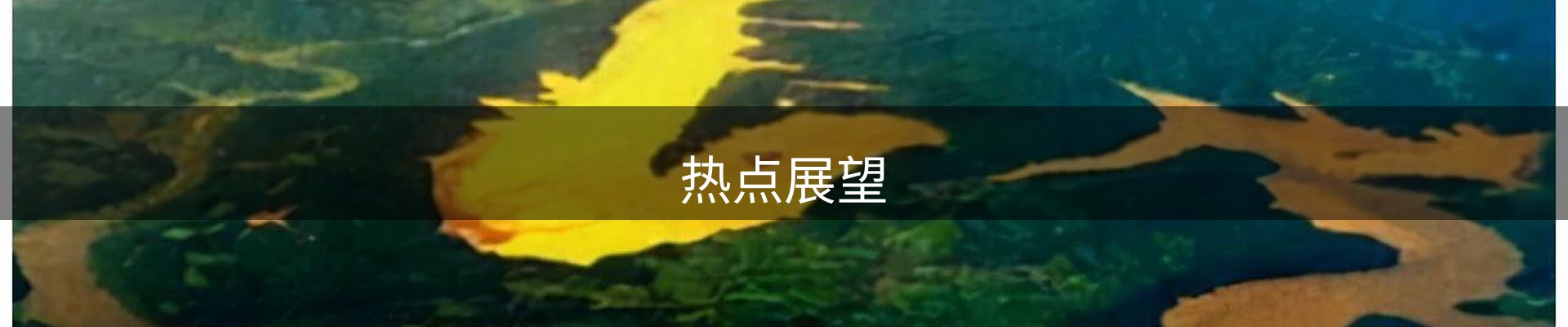 热点展望